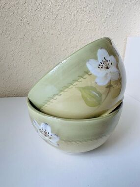 Pfaltzgraff Aurora Rare Ceramic Soup/Cereal Bowls, Set of Two #1 🦋